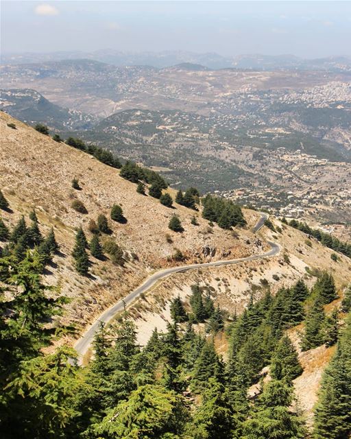 🌲 (Maaser El Shouf Cedar Reserve محمية ارز معاصر الشوف)