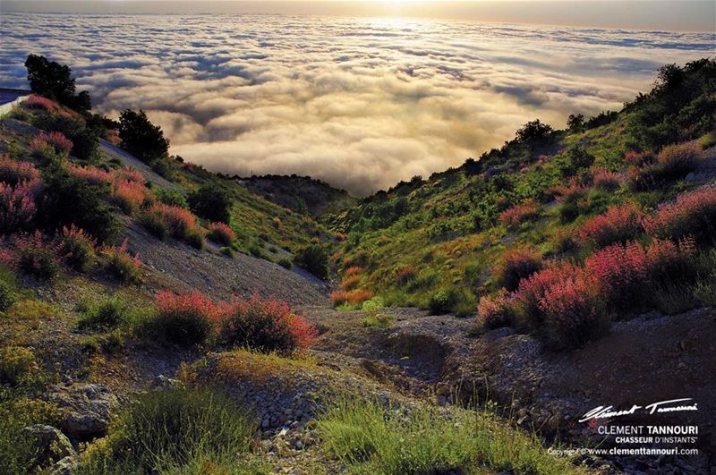 Maasser El Chouf 🌤⠀ livelovechouf  livelovebarouk  livelovelebanon ...