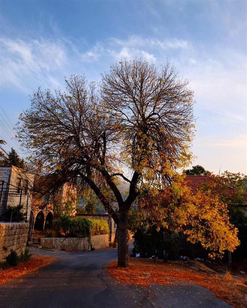 Maasser El Chouf