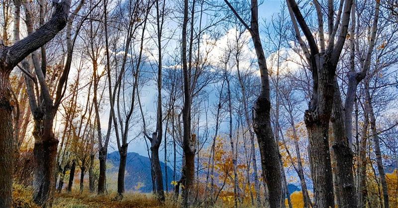 Magic is all around, you just have to believe...... livelovelebanon... (El Laklouk, Mont-Liban, Lebanon)