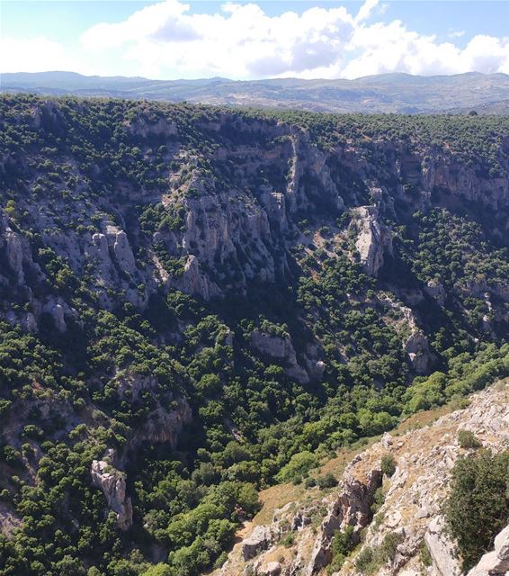 Marjayoun's big scary valley 💚 And I hope it remains green!! (Marjayoûn, Al Janub, Lebanon)