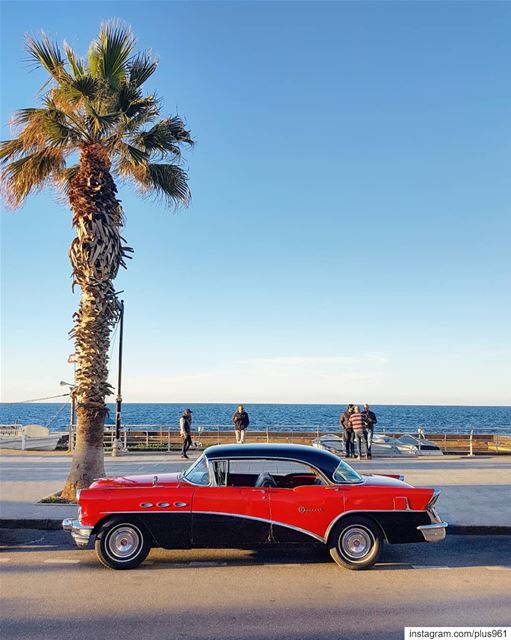 Me: I should post less classics.Also me: 🚗 (Beirut, Lebanon)