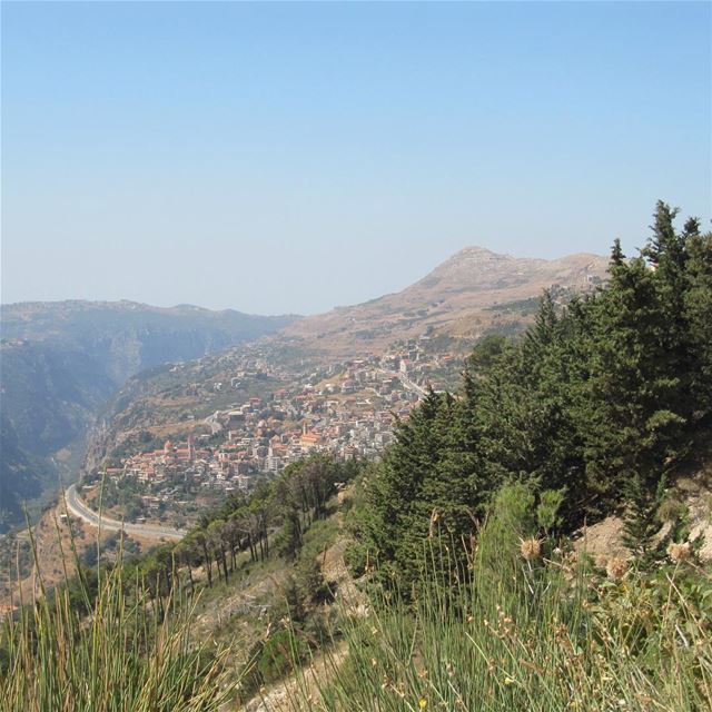 Meditation,Nature,Peace lebanesemountains livelovebeirut  cedars...