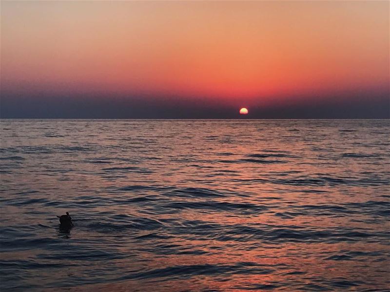 meet me where the sky touches the sea💥 (Chekka)