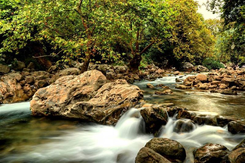 Mélancolie (Yahchouch Valley - Nahr Ibrahim)