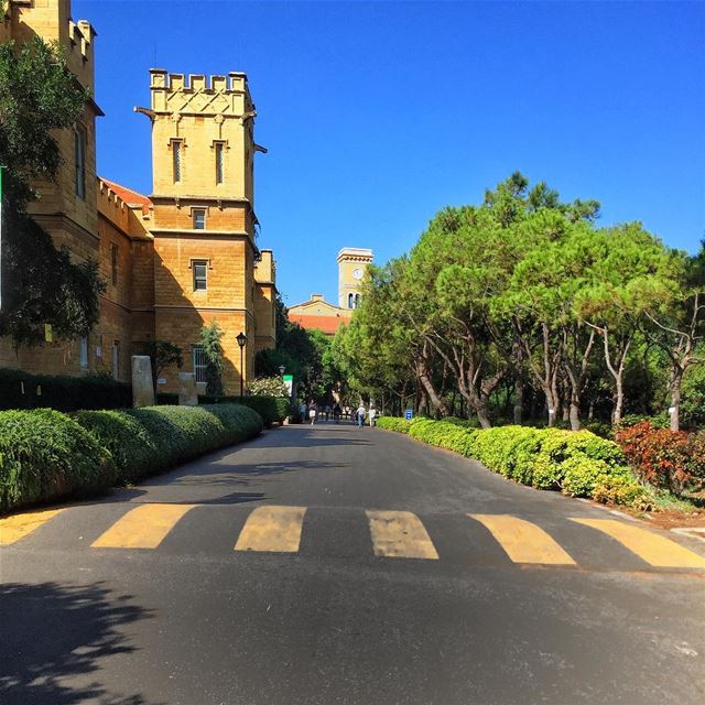 Monday 😎  aublebanon  liveloveaub  livelovebeirut  lebanonspotlights... (American University of Beirut (AUB))