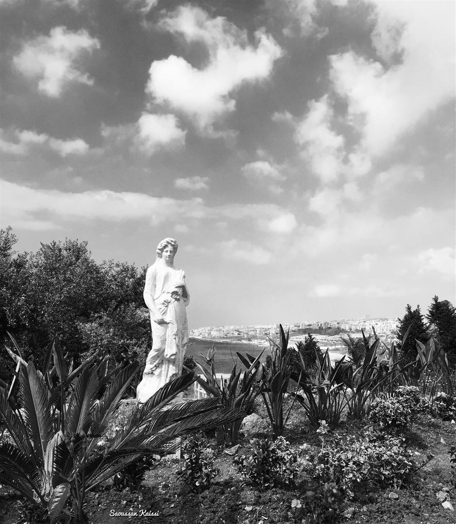  monochrome  blackandwhite  statue  nature ...