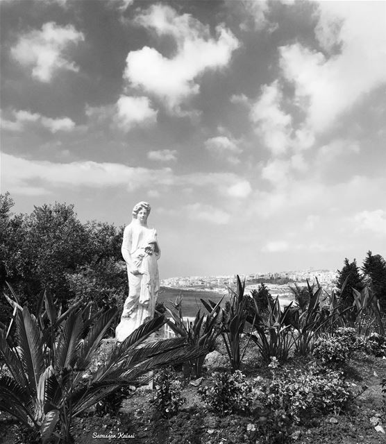  monochrome  blackandwhite  statue  nature ...