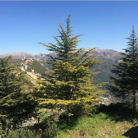 More from Annaya Nature (Annaya, Lebanon)