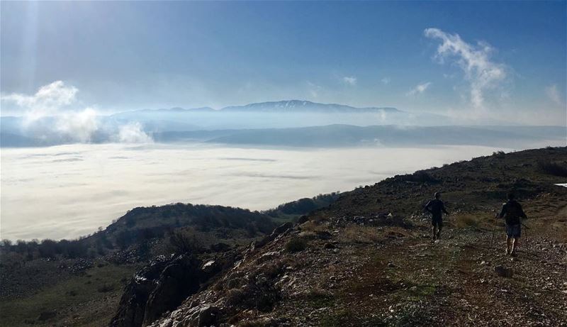 Morning 25km trail run in the Ain Zhalta Cedars reserve with an epic view... (Chouf)