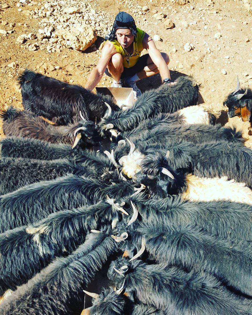 Morning cycling ride & goats love 🐐🚲 (Faraya Wardeh)