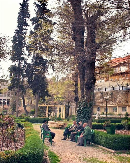 Morning discussion between true friends.Good morning igers 🌾🌳❤--------- (Zahlé, Lebanon)