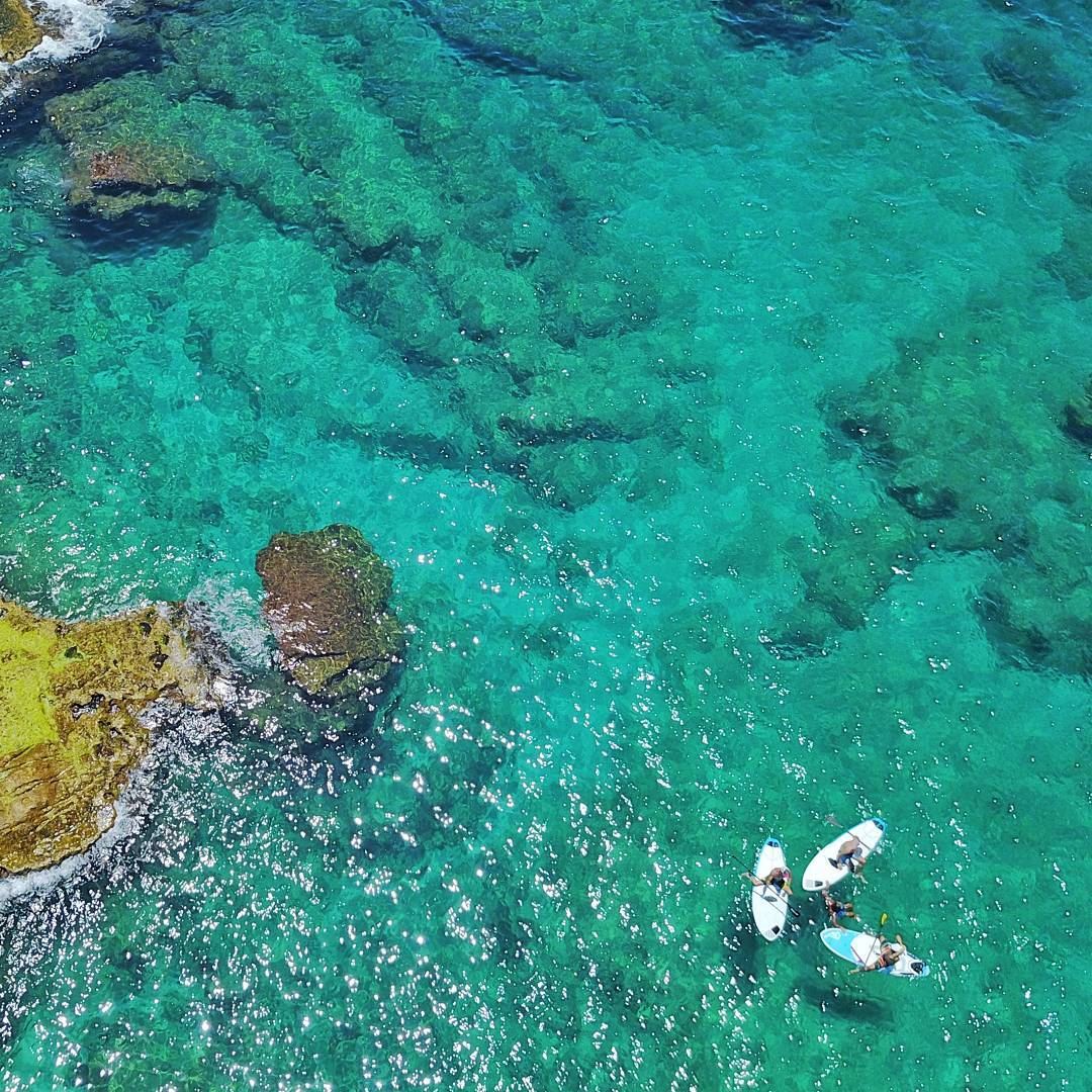 Morning gathering 😎Enjoy your Sunday igers...... AboveLebanon ...