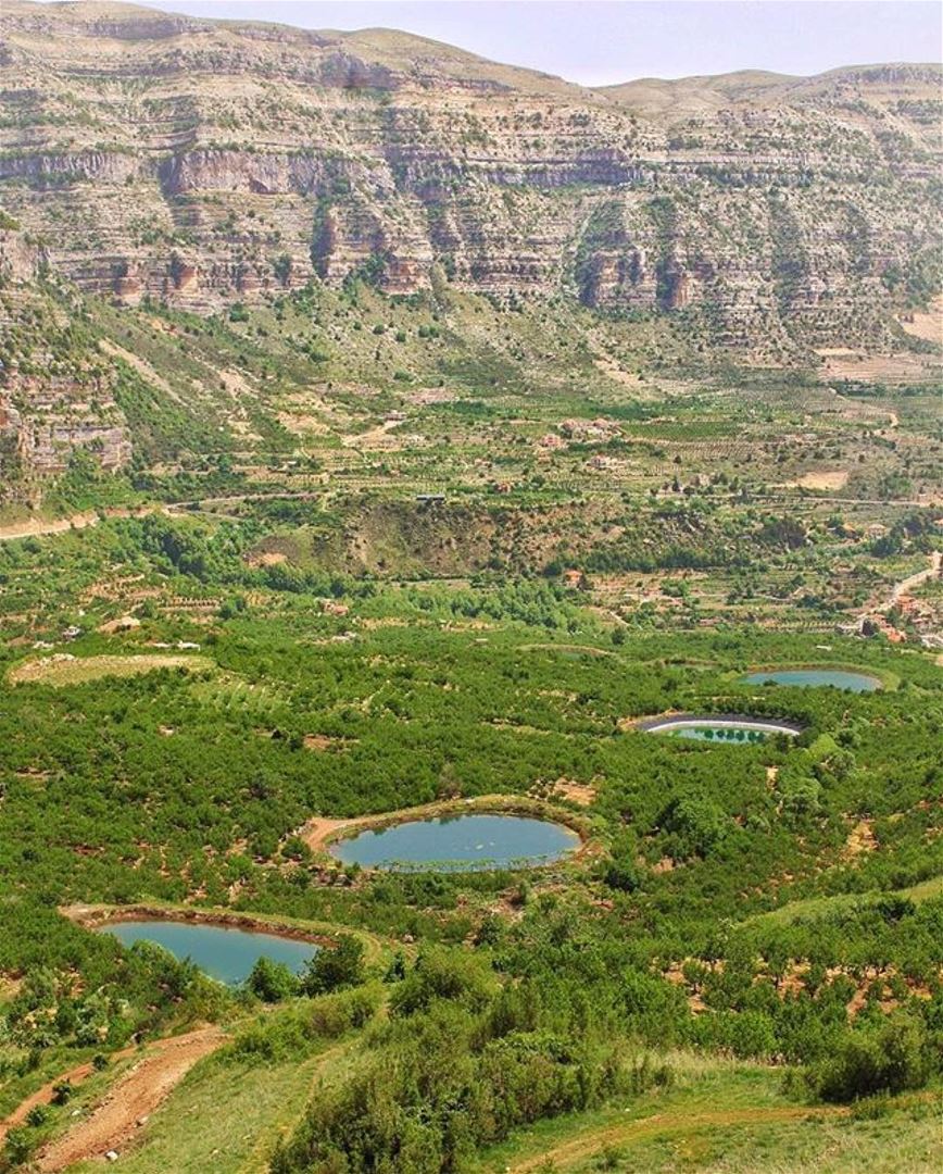 Morning igers 😃 from Akouraصباح الخير من العاقورة 😃Photo taken by @budd (Akoura, Mont-Liban, Lebanon)