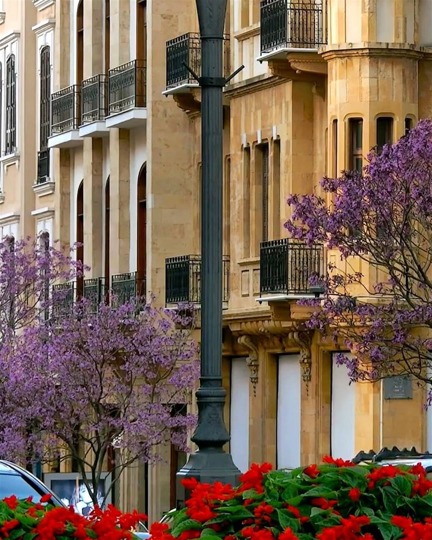 Morning is an important time of day, because how you spend your morning... (Beirut, Lebanon)