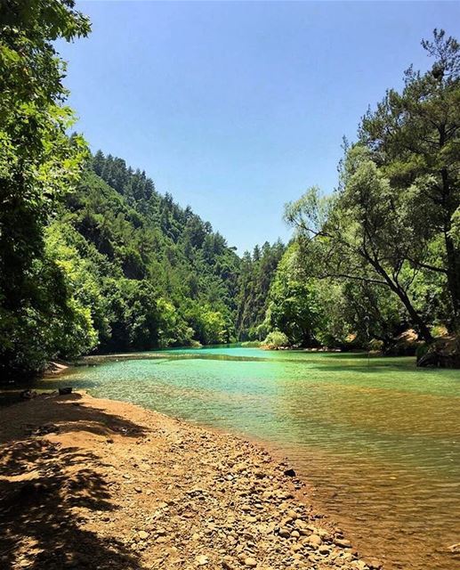  morning lebanon  insta_lebanon  naturephotography  naturelovers ... (جنة شوان - نهر ابراهيم)