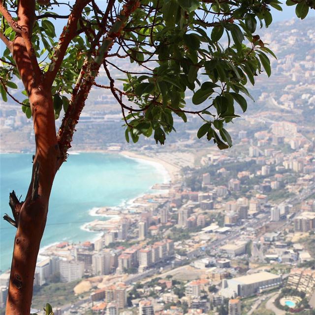 Morning Lebanon... 🇱🇧 lebanon  lebanon_hdr   ig_lebanon   insta_lebanon... (Saydet Harissa)