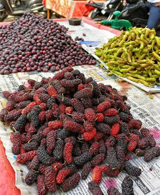 Morning 🤤🤤 lebanon letstalkaboutlebanon food fruit delicious yummy...