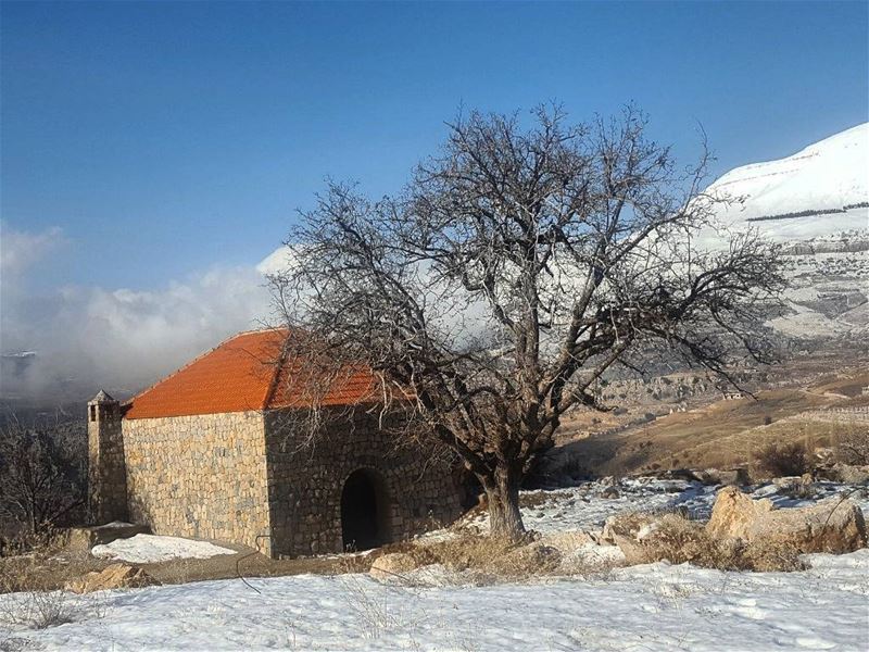  morning thursday libano house amazing  snow snowlover trees sky_love... (Lebanon)