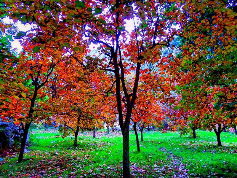 Morning view.  tannourine  lebanon  livelovelebanon  livelovebeirut ... (Tannourine El Tahta)