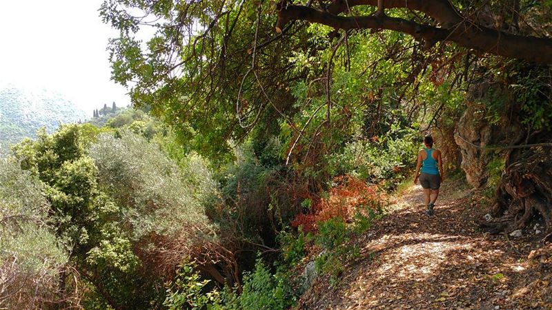 Morning walks 🚶🍃 myadventureslebanon have a great week everyone ✌ (El Madfoûn, Liban-Nord, Lebanon)