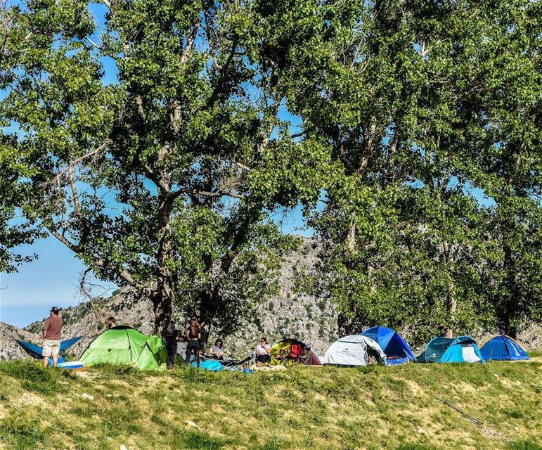 Mornings like these 🏕@decathlonleb (El Laklouk, Mont-Liban, Lebanon)