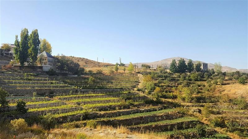 Mornings like these  (Sannin, Mont-Liban, Lebanon)