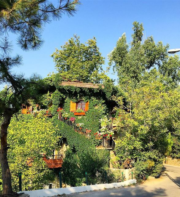 Most Beautiful House I've seen so Far! ☘️🌺🍀🌸🌱🌿🌼  Lebanon  Nature ... (Yahchouch)