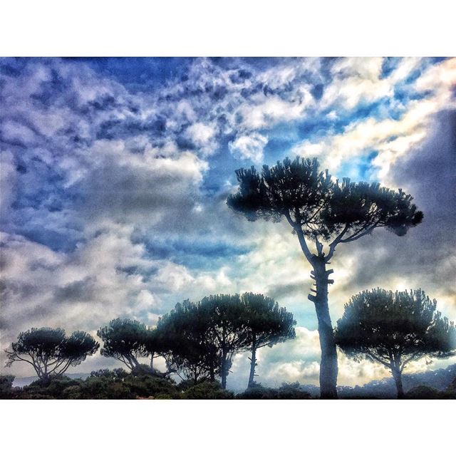 Mother nature💙💚🌳  nature  trees  instapic  caplifephotography ... (Baskinta, Lebanon)