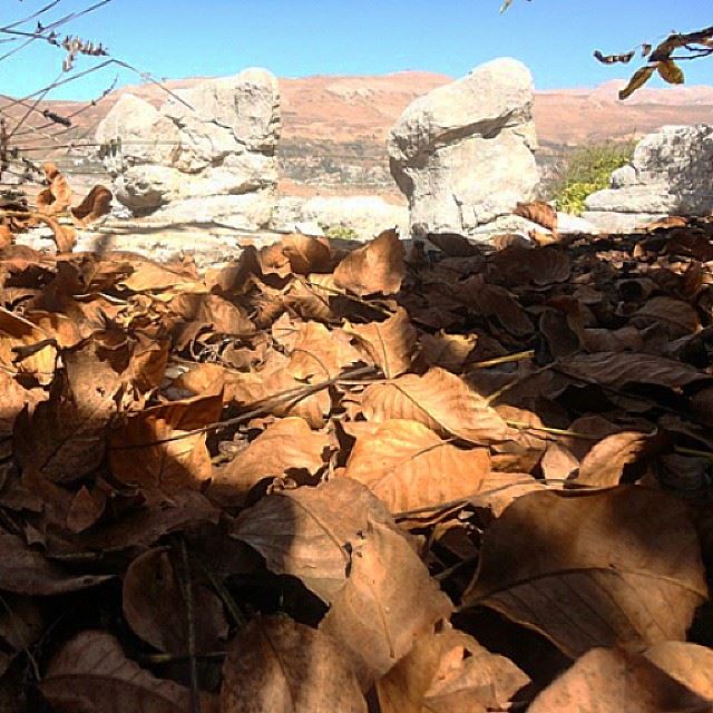 mountain autumn rock leaf sky