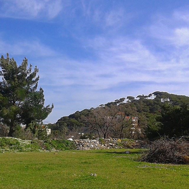 mountain mountainsoflebanon pine forest green natureoflebanon natureoflebanon beautifulnature