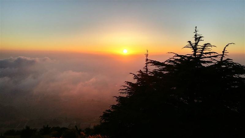 Mountain view 🌅... (Falougha, Mont-Liban, Lebanon)