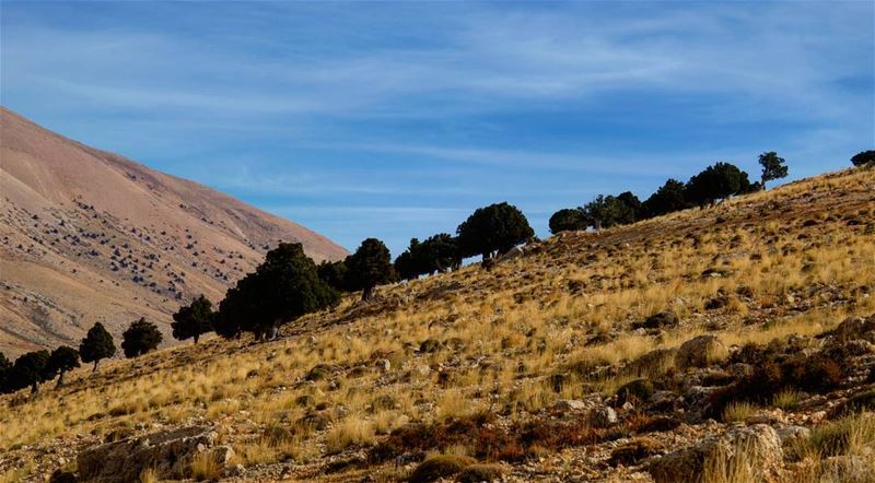 Mountains love 🗻🗻🗻 (3youn Orghosh)
