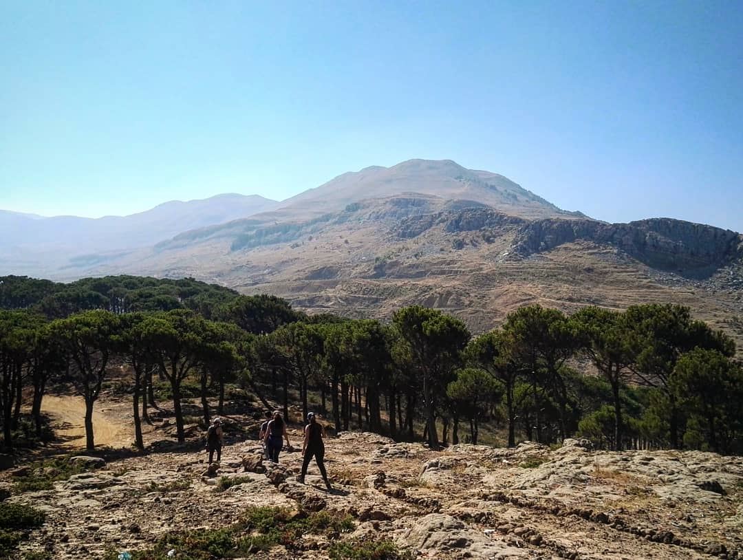  mountains  mountlebanon  lebanon  lebanese  trees  natural  nature ... (Mount Lebanon Governorate)