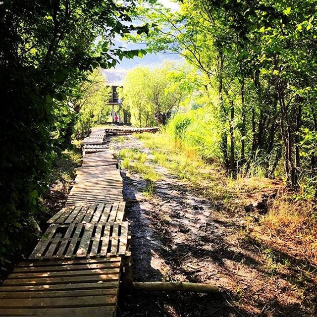 Mud vs wood!  lebanon  livelovelebanon  livelovebekaa  ammiqreserve  🏃🏻... (`Ammiq, Béqaa, Lebanon)