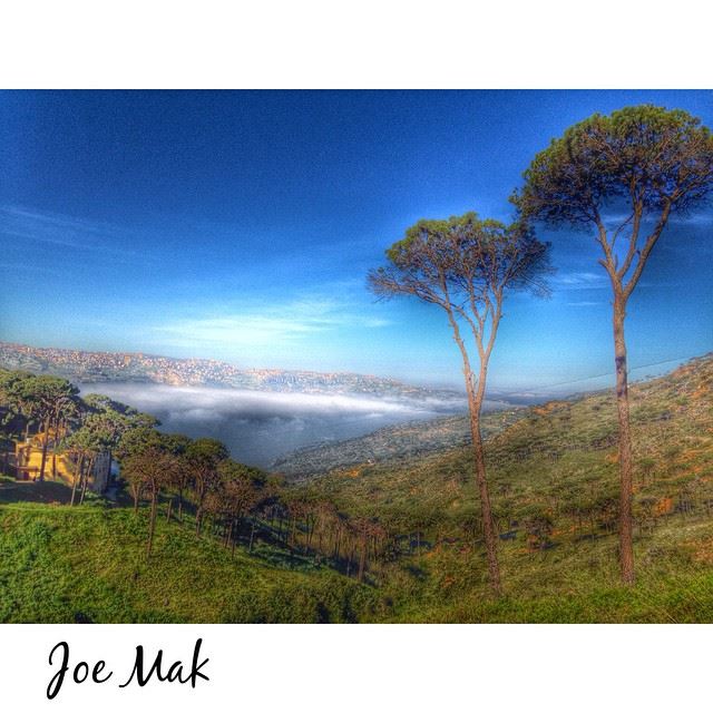 My Lebanon!  Lebanon  nature  sky  tree  clouds  sun  sky  peace  love...