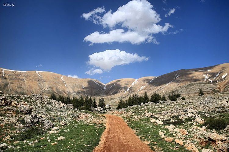 My sanctuary ❤️🌲❤️ a7labaladbil3alam  photo  love  photography  camera ... (Cedars of God)