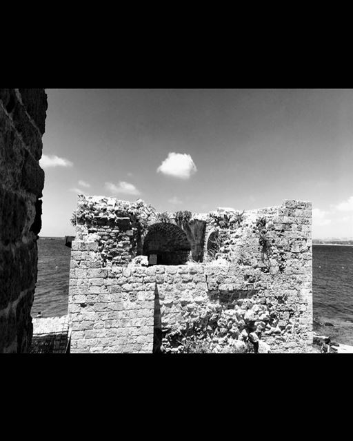 My Summer Trip has taken me to many beautiful places and monuments but... (Tyre, Lebanon)