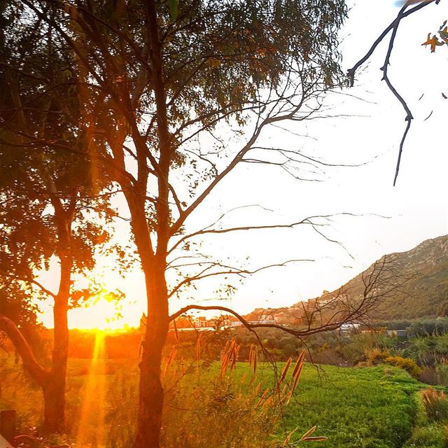 " My Sun Sets To Rise Again..." WhatsUpLebanon wearelebanon insta_lebanon... (Batroûn)