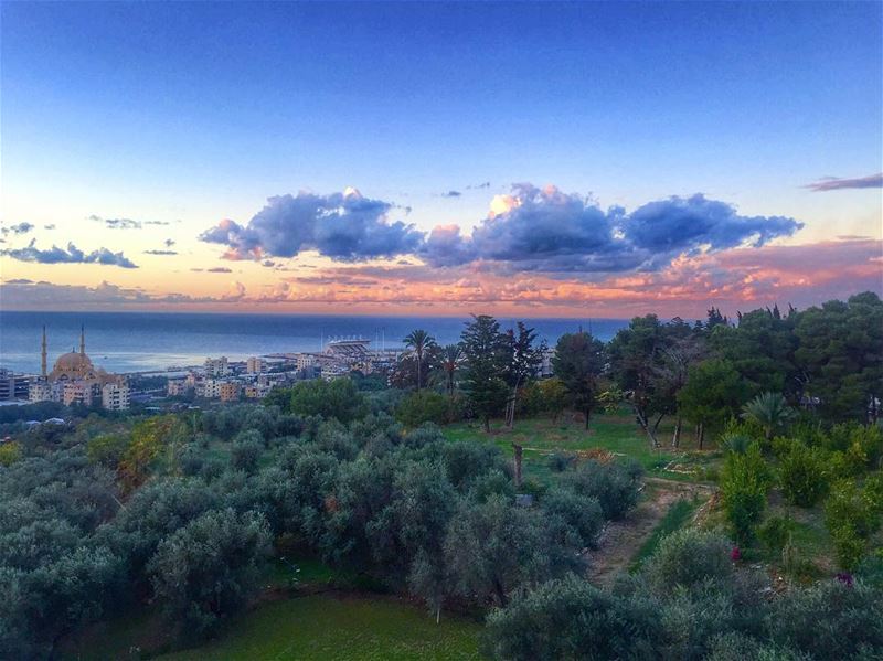 My view.💖 sunset view earth landscape clouds colors nature sea instapic... (Saïda, Al Janub, Lebanon)