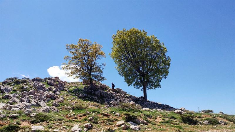 🌳🚶🌳🌞 myadventureslebanon  Lebanon  hiking  nature  adventure ... (My Adventures Lebanon)