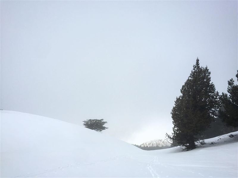  mylebanon  lebanoninapicture  snow  bestinlebanon ... (Karm Chbat - Chanbou2)