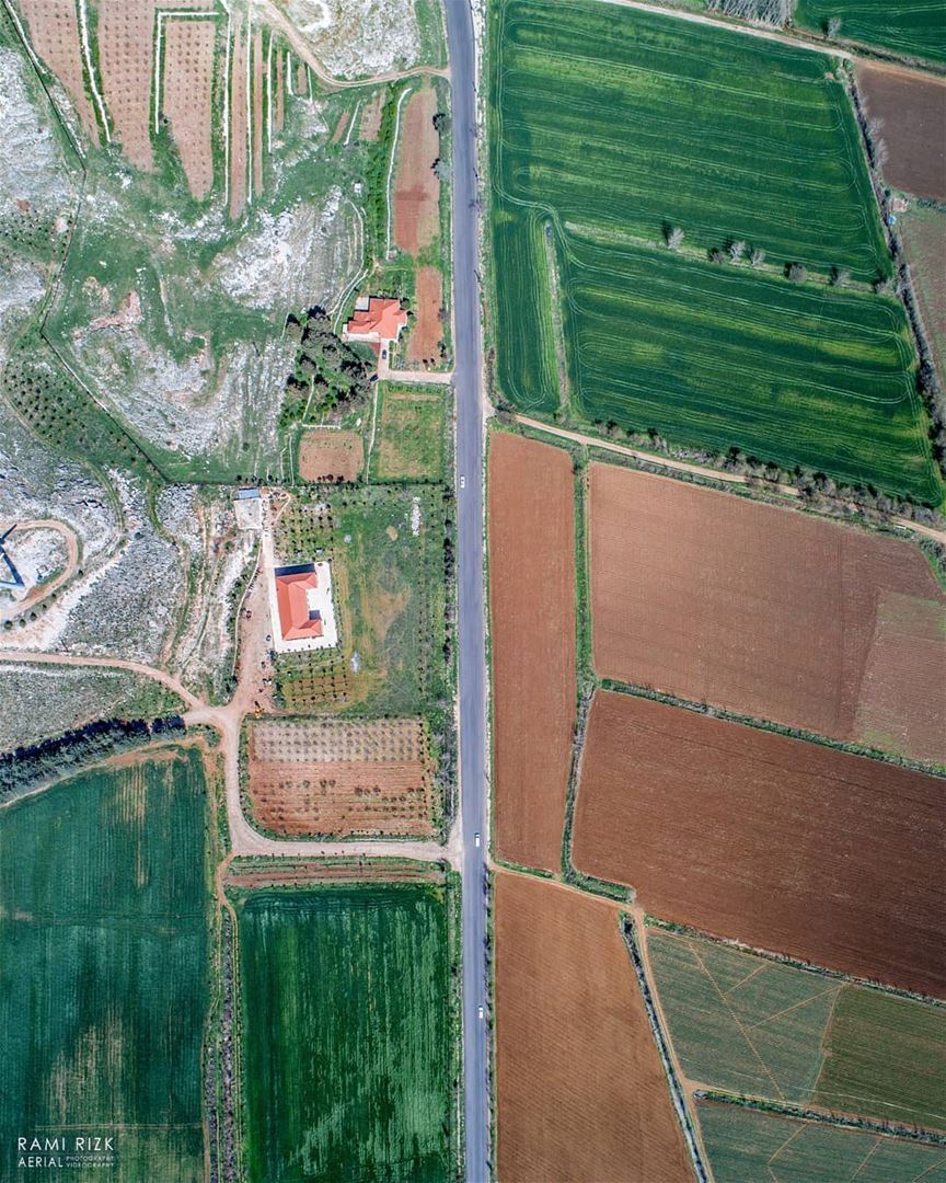 Natural Carpet ... bekaa  westbekaa  lebanon  dji  drones  quadcopter ... (West Bekaa)