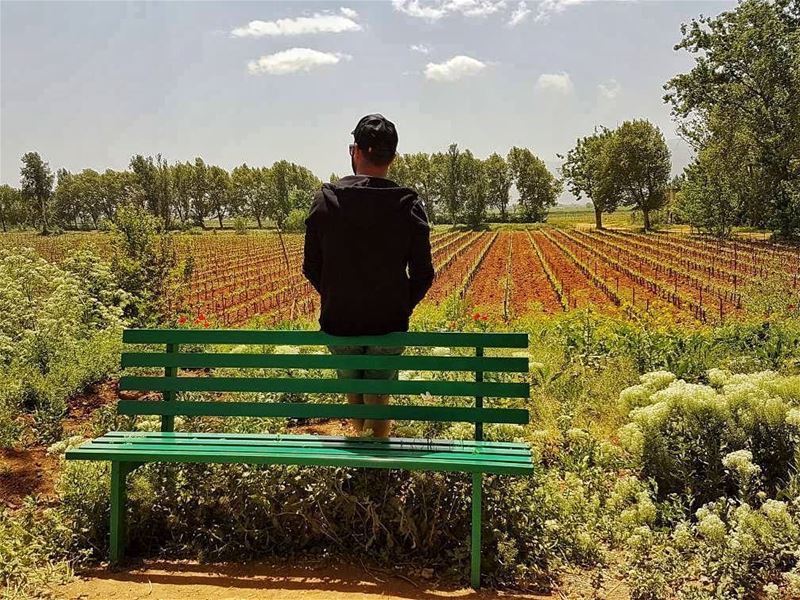 Nature does not hurry, yet everything is accomplished nature  lebanon ... (Taanayel Lake)