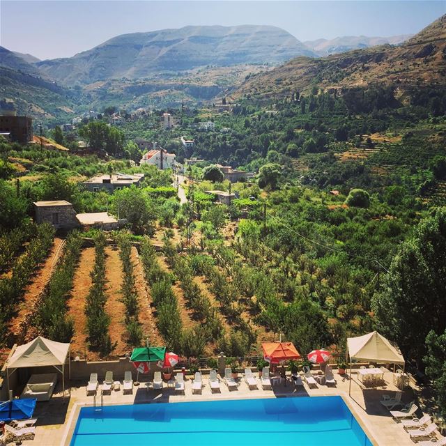  nature green trees mountain blue pool lovely weather Faraya Lebanon...