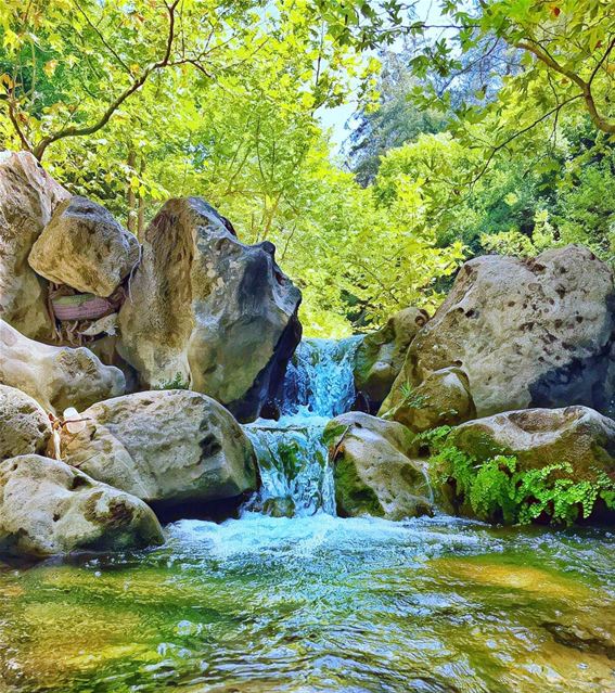 'nature has music for those who listen...'''' photography ... (Chouène, Mont-Liban, Lebanon)