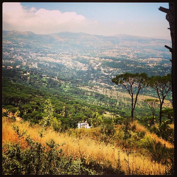  nature instagood instafine beautiful pinetrees likeforlike lebanon  liban...