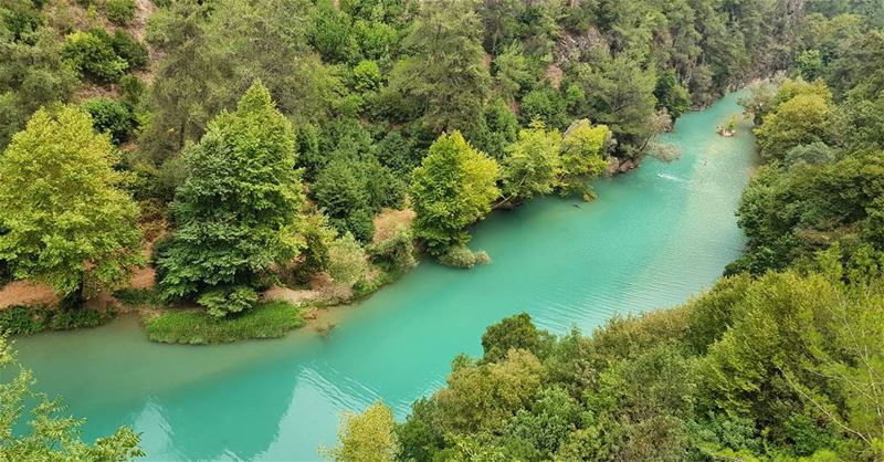 🌱"Nature is the art of God"; Sir Thomas Brown🍃 nofilter  hiking ... (Chouwen)