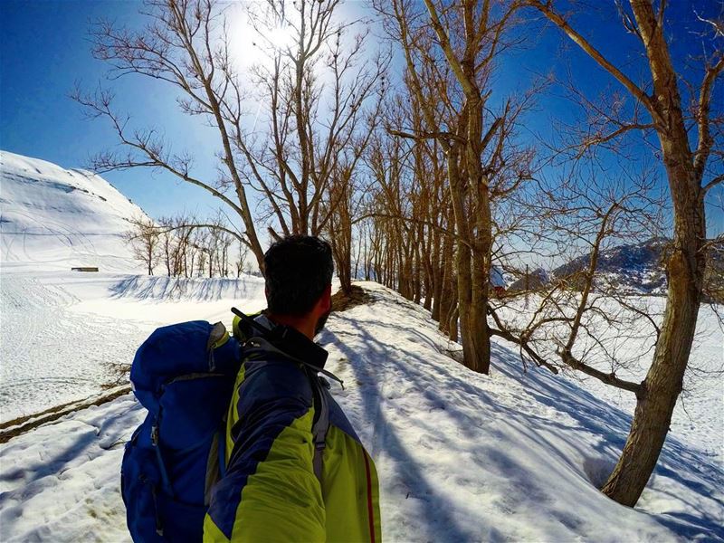 Nature is what you need snowshoeinglebanon  explorelebanon  picoftheday ...