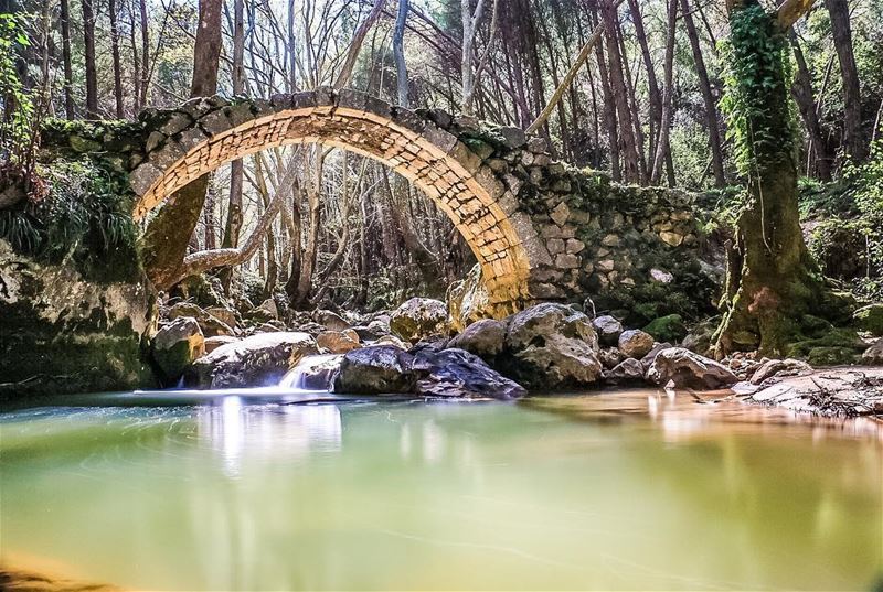 Nature knows well how to reveal Spring ✌🏻  nature  spring  bridge  river ...